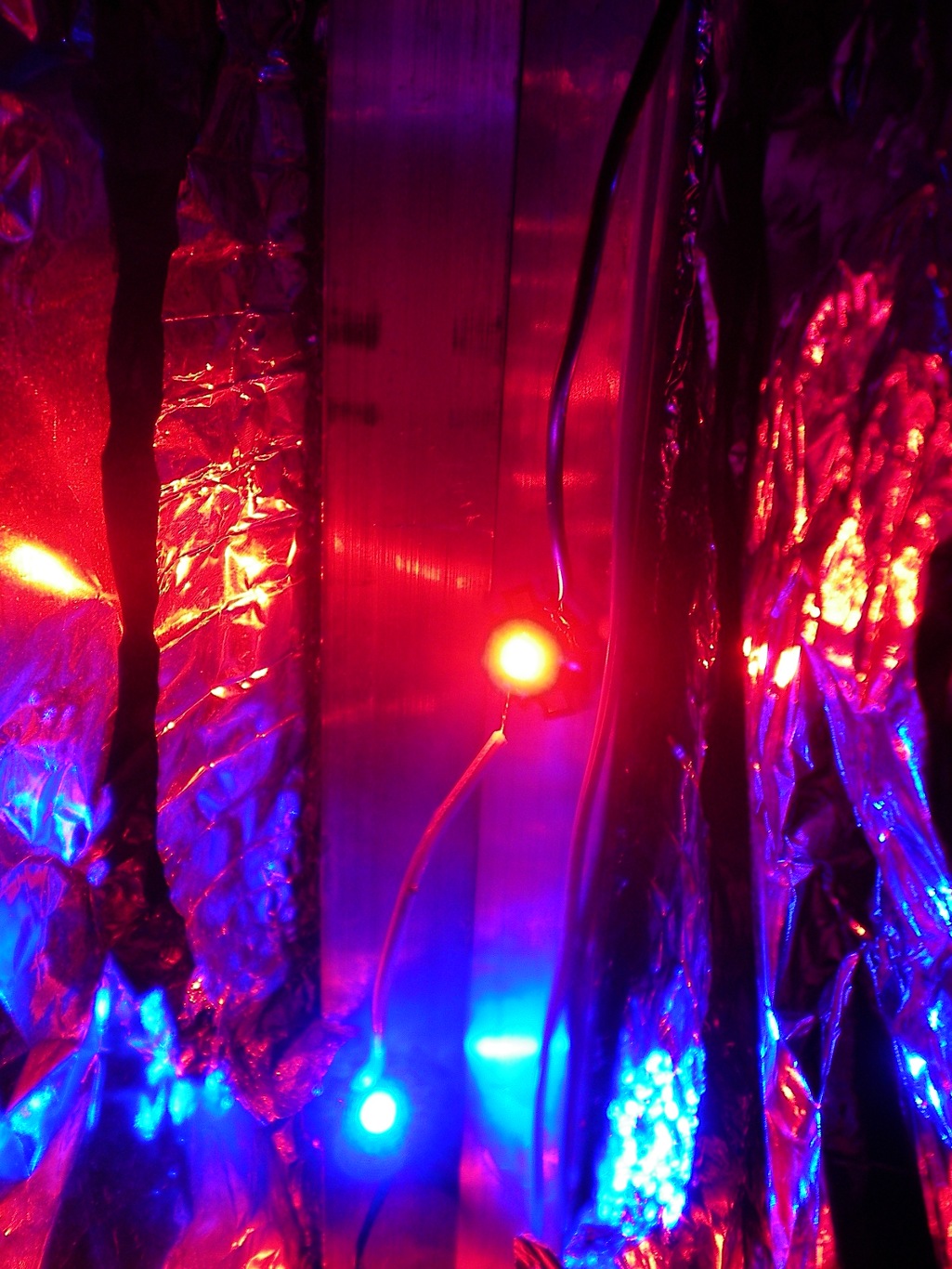Building Your Own High-Power LED Grow for Hydroponics Science in