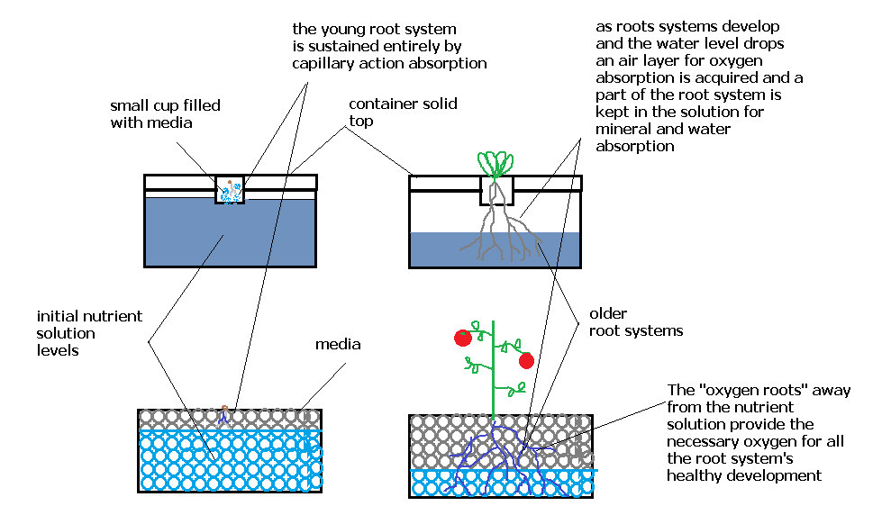Completely Passive, Non-Recirculating Hydroponic Systems ...