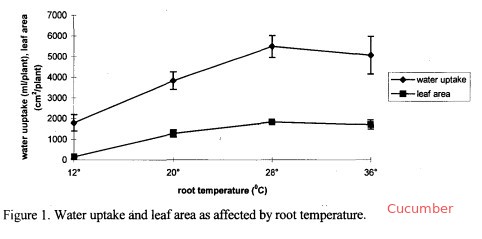 What Is The Ideal Nutrient Solution Temperature In Hydroponics Science In Hydroponics