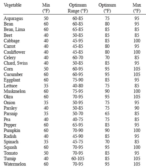 Vegetable Seed Germination Chart