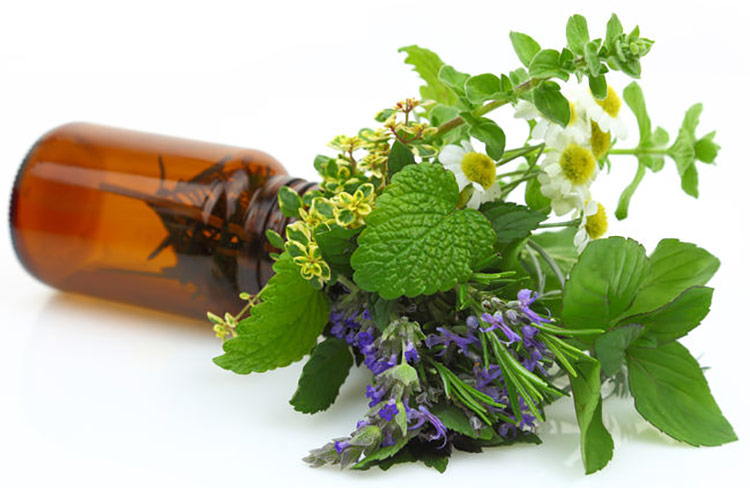 Sourcing Essential Oil Plants Where They Thrive Most