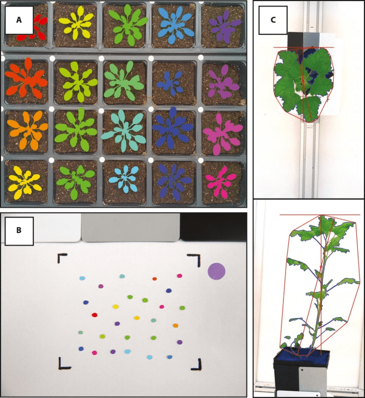 Top 5 Open Source Hardware Tools to Boost Your Hydroponic Yields